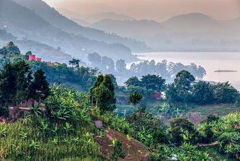 Chameleon Hill Forest Lodge: Ausblick Natur