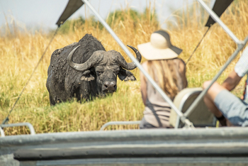 Chobe Savanna Lodge: Fluss-Safari