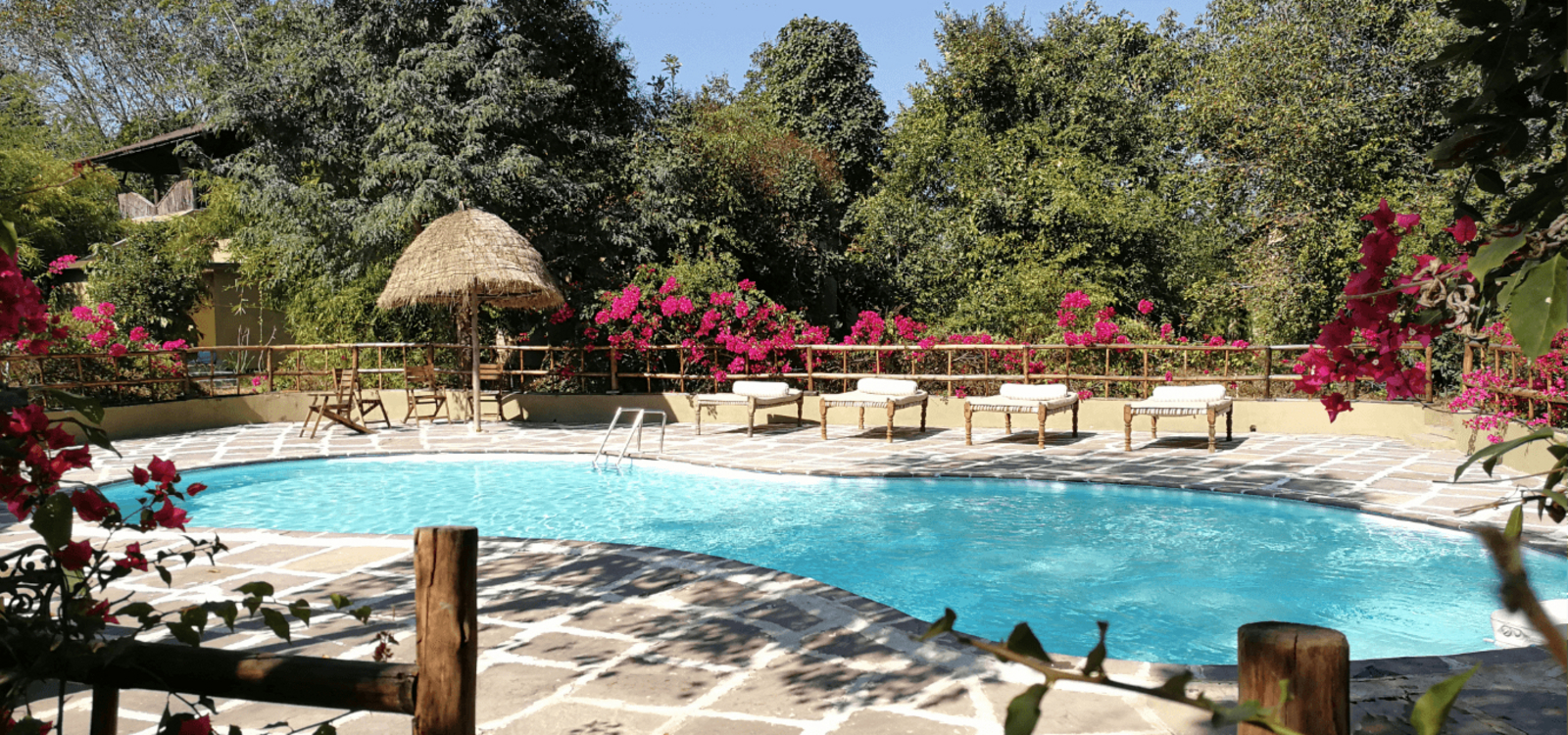 Forsyth Lodge Forsyth Lodge: Swimming Pool mit Liegestühlen