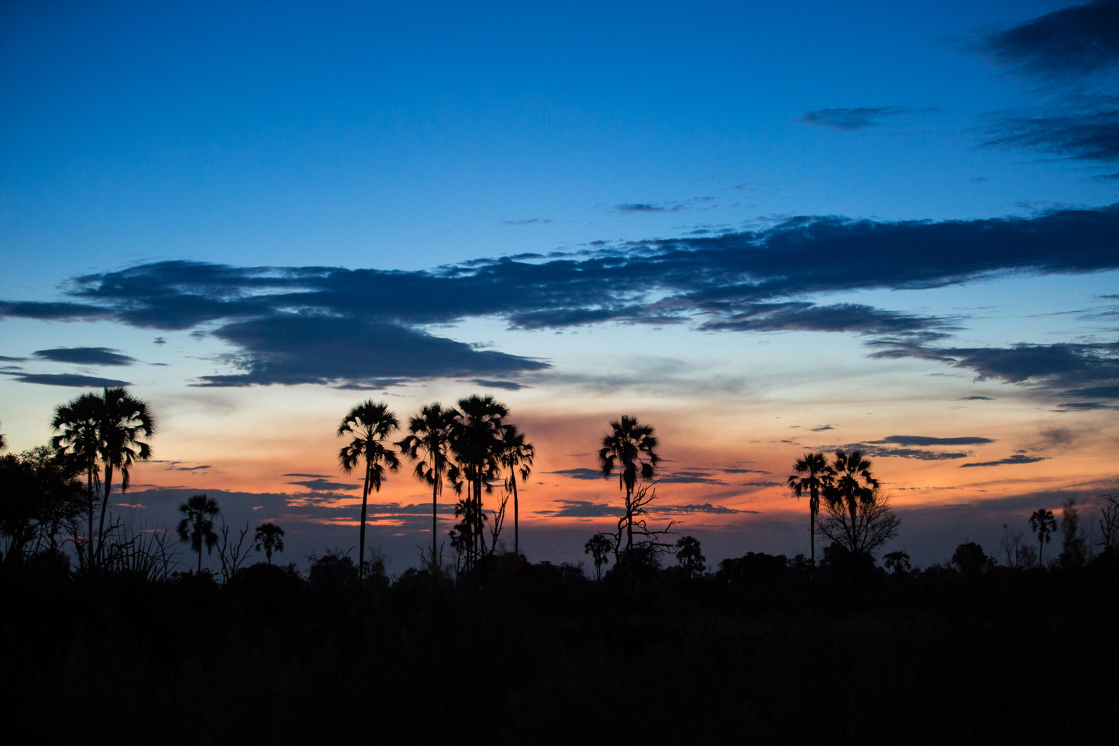 Gomoti Plains Camp Gomoti Plains Camp: Tiere und Landschaft