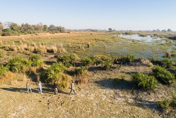 Kala Camp: Walking Safari