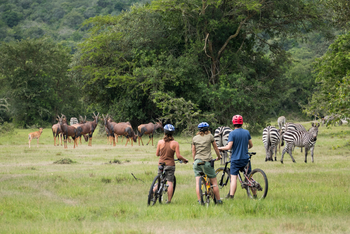 Mihingo Lodge: Bike Ride
