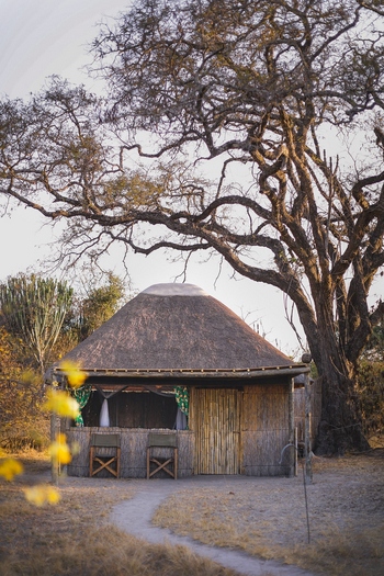 Ntemwa Busanga Bushcamp Ntemwa Busanga Bushcamp: Gästechalet