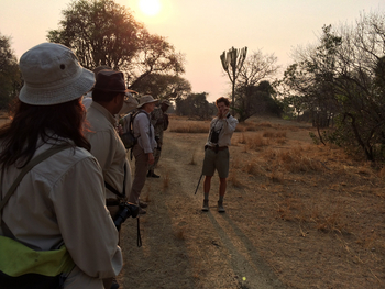 Ntemwa Busanga Bushcamp Ntemwa Busanga Bushcamp: Walking Safari mit Tyrone McKeith