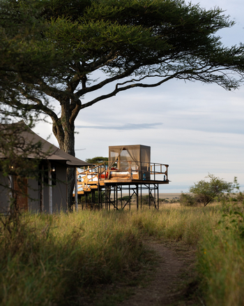 Olmara Camp: Sleep-out Platform