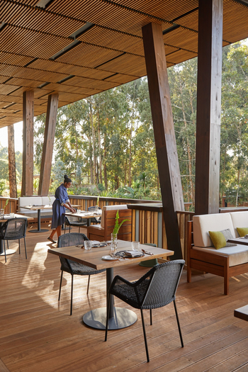 One and Only Gorilla's Nest: Outdoor Deck