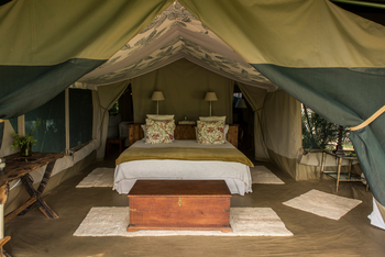 Richard's River Camp: Family Tent