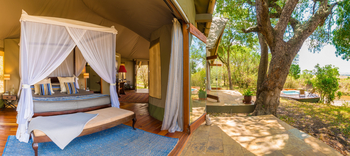 Sala's Camp: Forest Luxury Tent