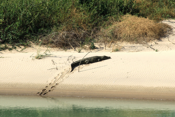 Sanctuary Okahirongo River Camp Sanctuary Okahirongo River Camp: No Title