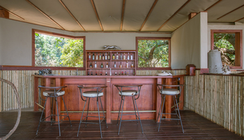 Sausage Tree Camp: Bar