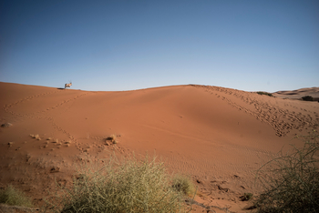 Sonop Camp: Ausflüge