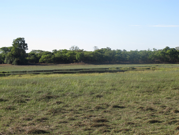 Wasa Lodge: Wasa Lake