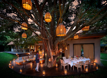 andBeyond Kichwa Tembo Tented Camp: Dinner unter einem Feigenbaum