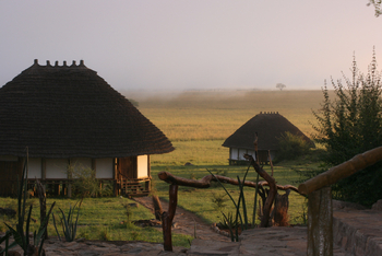 Apoka Safari Lodge: Morgendunst