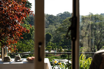 Gibb's Farm: Blick nach draußen