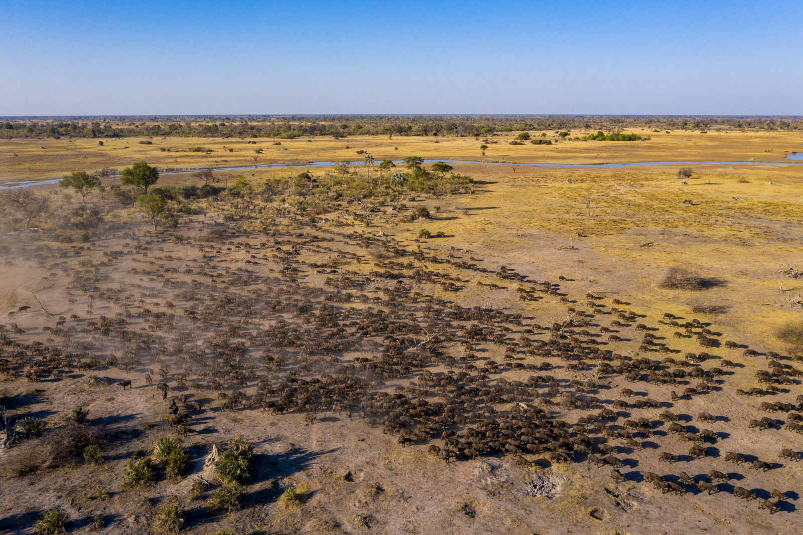 Gomoti Plains Camp Gomoti Plains Camp: Tiere und Landschaft