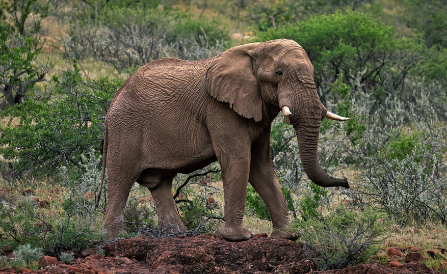 Grootberg Lodge