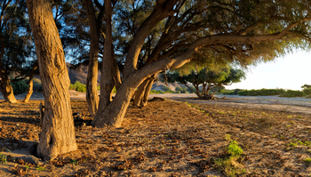 Hoanib Valley Camp Hoanib Valley Camp: Morning Nature Drive