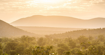 Hobatere Lodge: Landschaft
