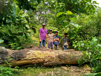 Jim's Jungle Retreat: Mahavan Walk