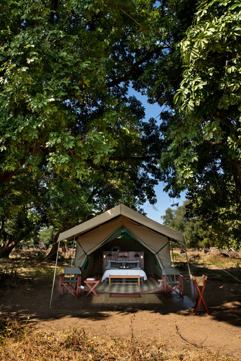 Mana River Camp Mana River Camp: Zelt unter Bäumen