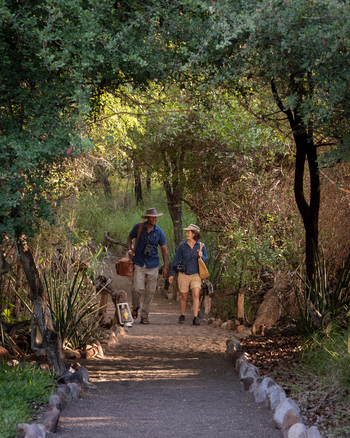 Mashatu Main Camp: Ankunft