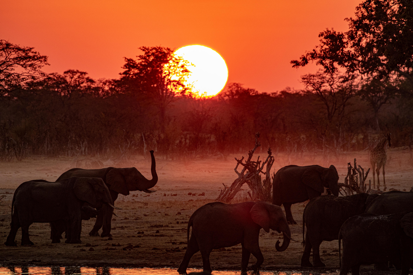 Muddy Teak Camp Muddy Teak Camp: Sonnenuntergang und Elefanten