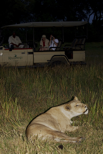 Shinde Lodge Shinde Lodge: Night Drive