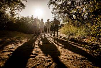Singita Boulders Lodge: Gäste Beobachten Gemeinsam im Morgenlicht