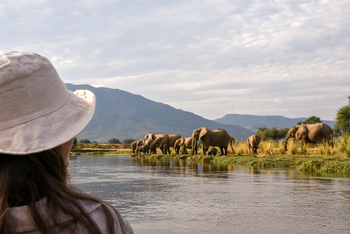Time + Tide Chongwe Camp: Elefantenherde