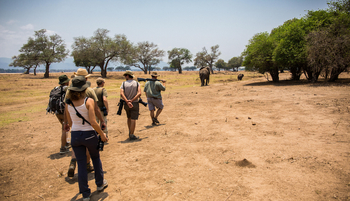 Vundu Camp Vundu Camp: Walking Safari