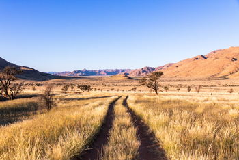Barkhan Dune Retreat: Landschaft