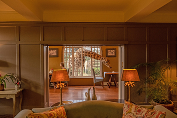 Giraffe Manor: Giraffenerlebnis