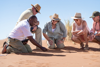 Hoodia Desert Lodge: Spurenlesen