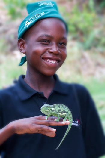 Jacana Camp: Chamäleon