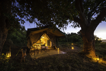 John's Camp John's Camp: Gästezelt - Außenansicht