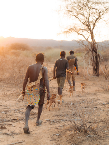 Kisima Ngeda Camp: Hadzabe-Jagd