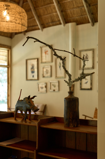 Koroi Forest Camp: Deko