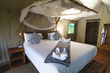 Mogogelo Camp Mogogelo Camp: Gästezelt - Innenansicht