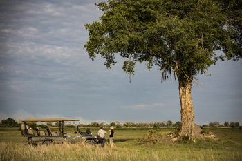 Mombo Camp: Kaffeepause