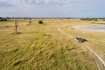 Moremi Game Reserve: Buschpiste