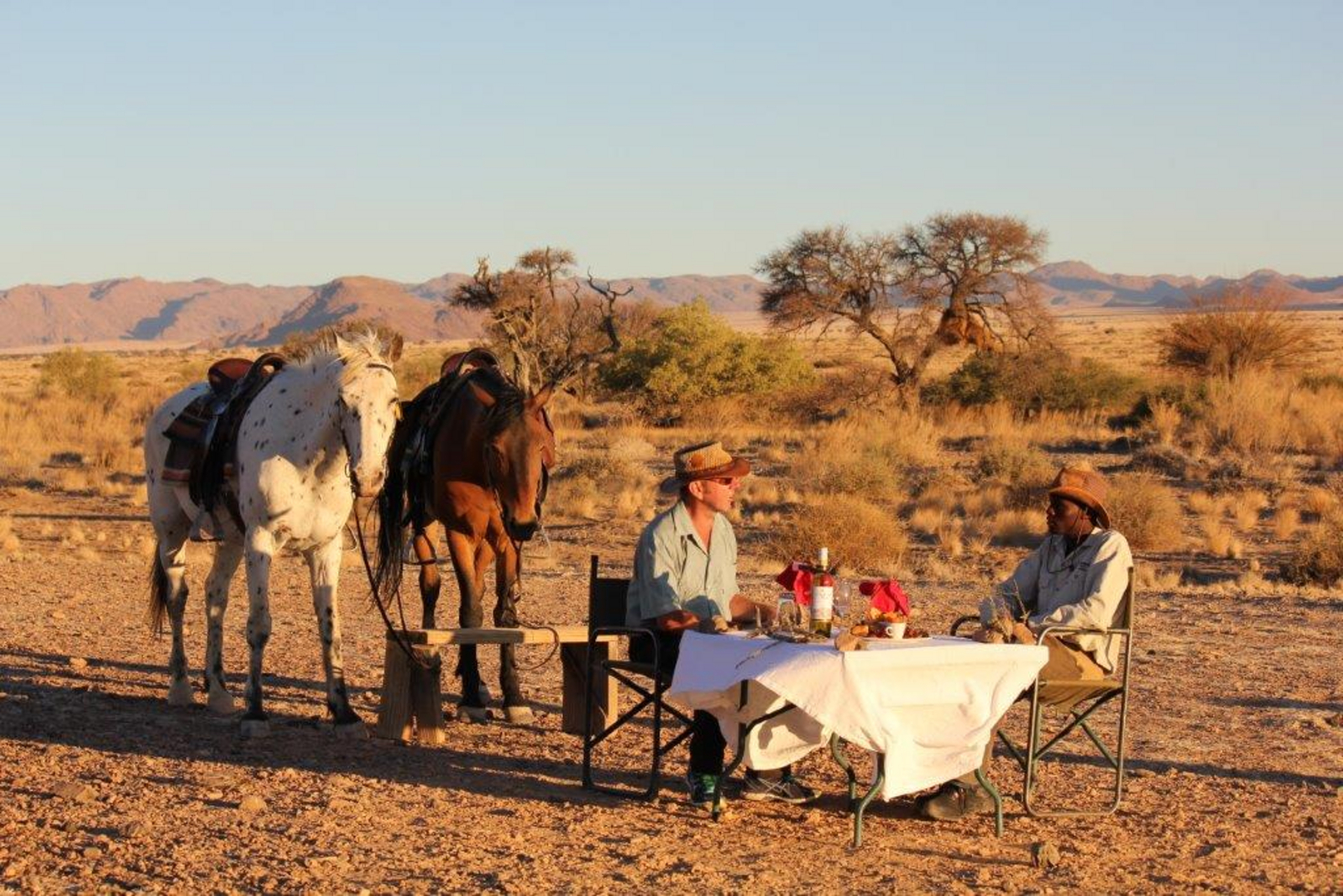 Namib Outpost Namib Outpost: Sundowner mit Pferden