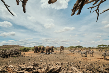 Ol Donyo Lodge: Photographic Hide