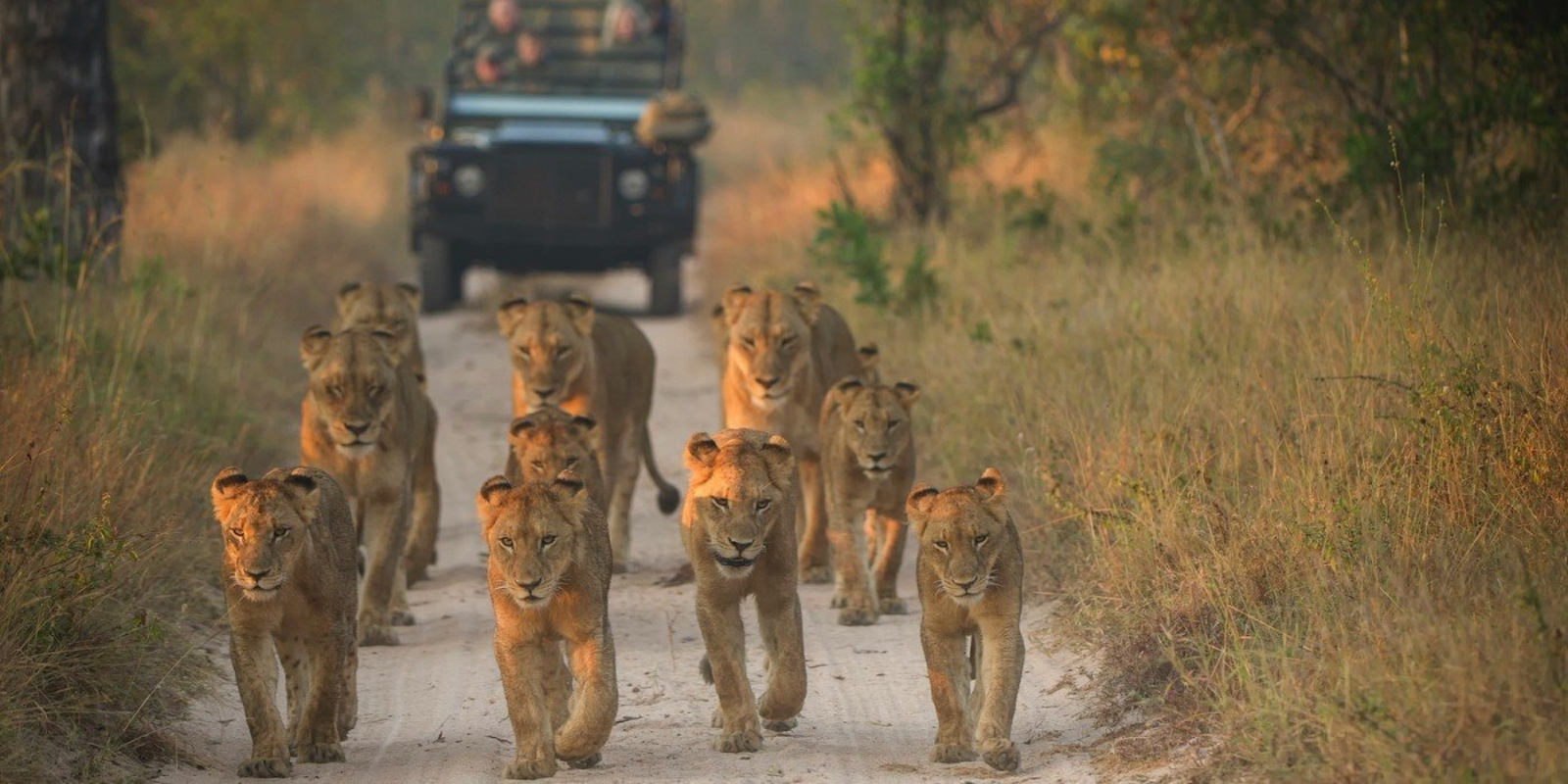 Singita Boulders Camp Singita Boulders Camp