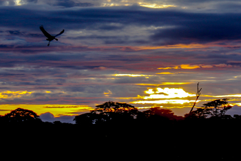 Sirikoi Lodge Sirikoi Lodge: Sonnenaufgang