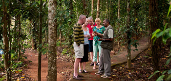 Spice Village: Waldspaziergang