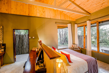 The Hide: Tom's Little Hide