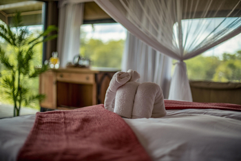 The Wallow Lodge: Bett