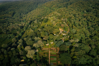 Gibb's Farm: Landschaft von oben