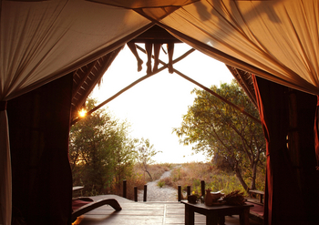 Greystoke Mahale: Blick aus dem Gästezelt